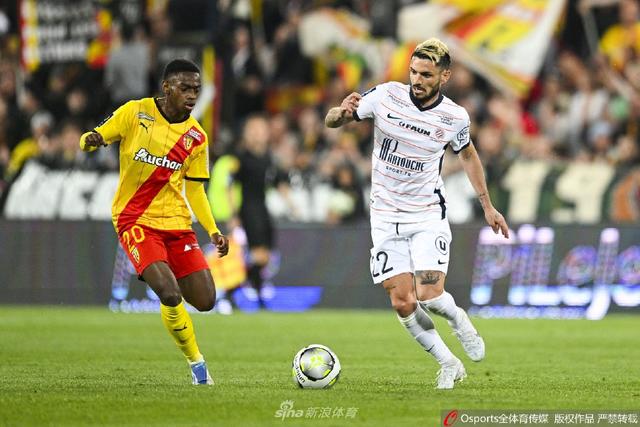 专家指出 专家指出