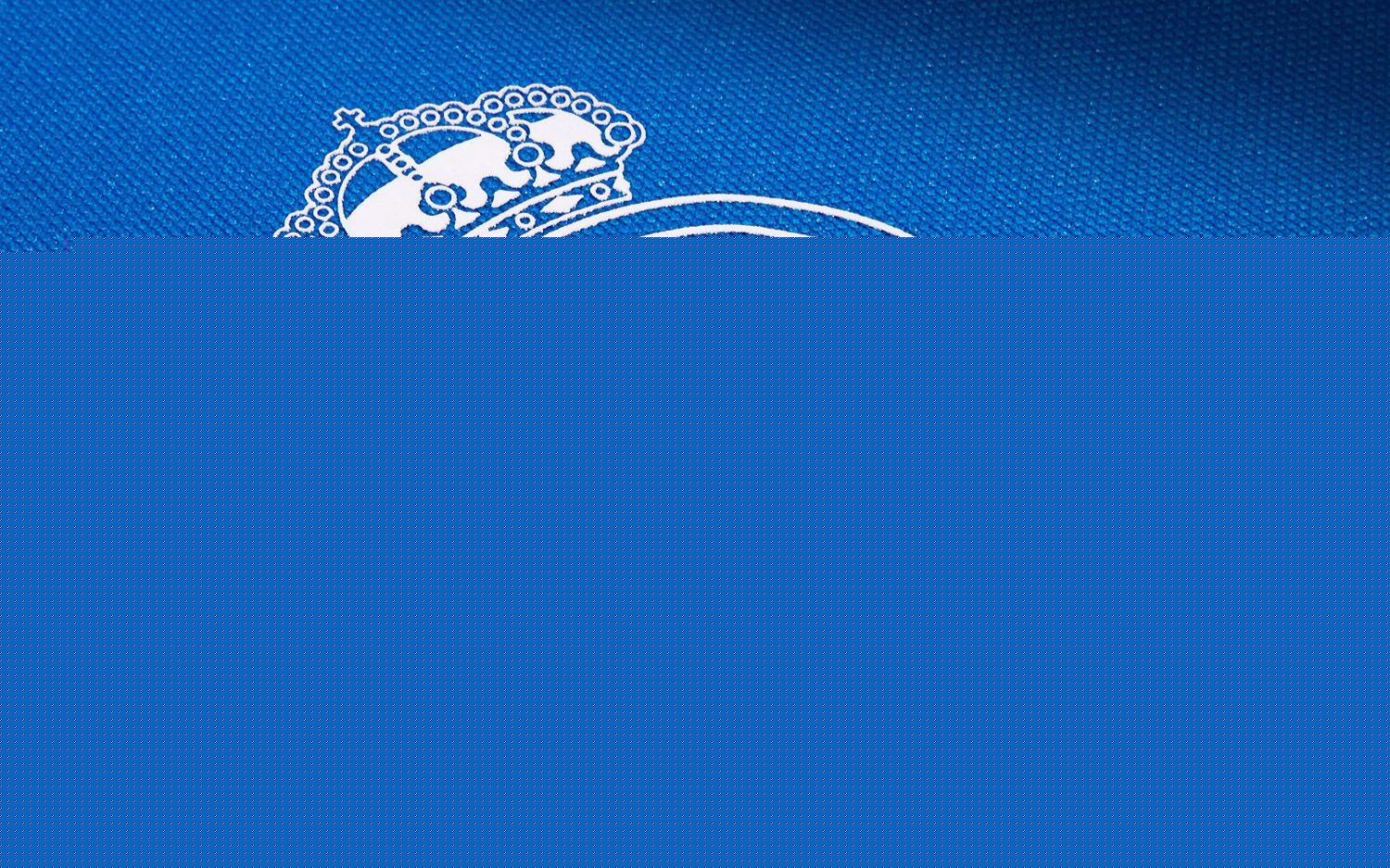 合在印度公 合在印度公