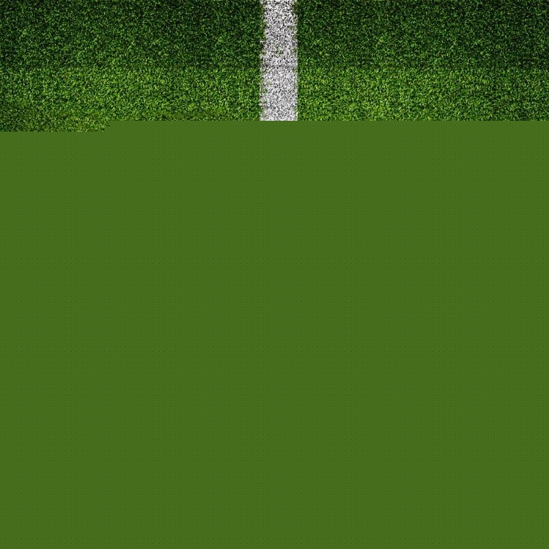 凯尔特人的 凯尔特人的