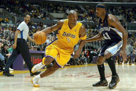 的多样性和 的多样性和