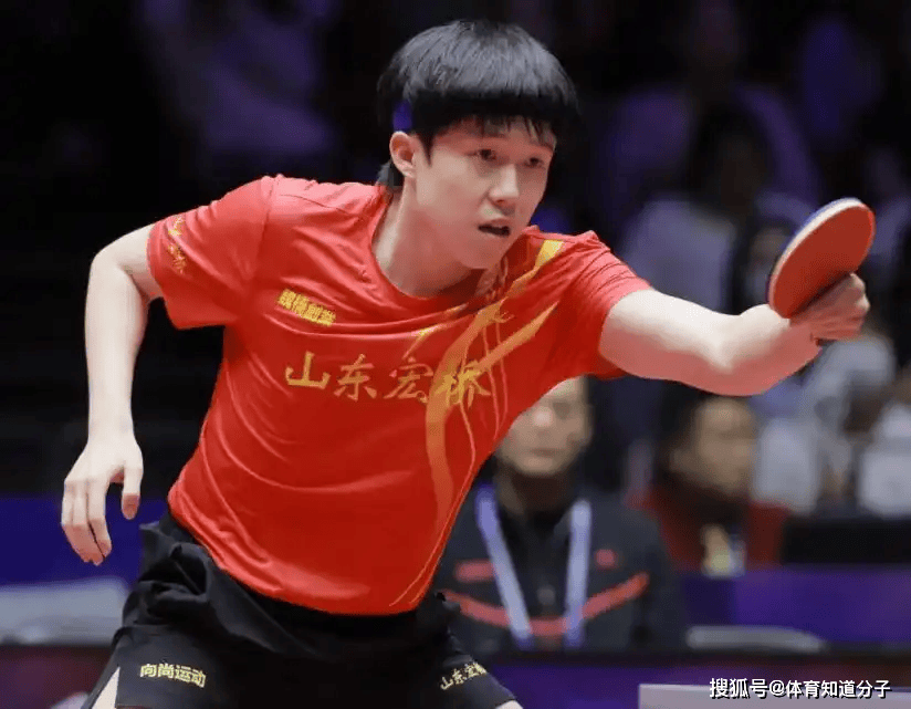 巨星罗伯托 巨星罗伯托